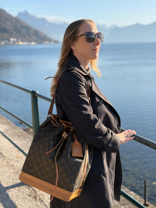 Louis Vuitton Noe Organizer