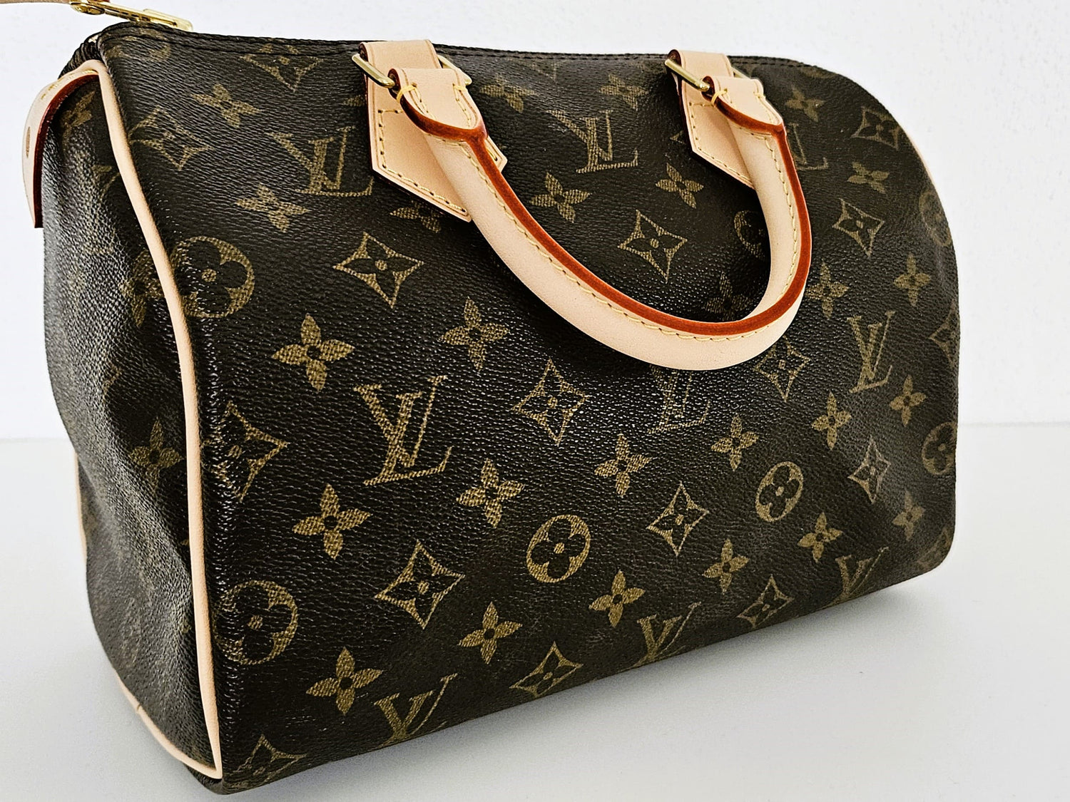 Organizer Louis Vuitton Speedy 25